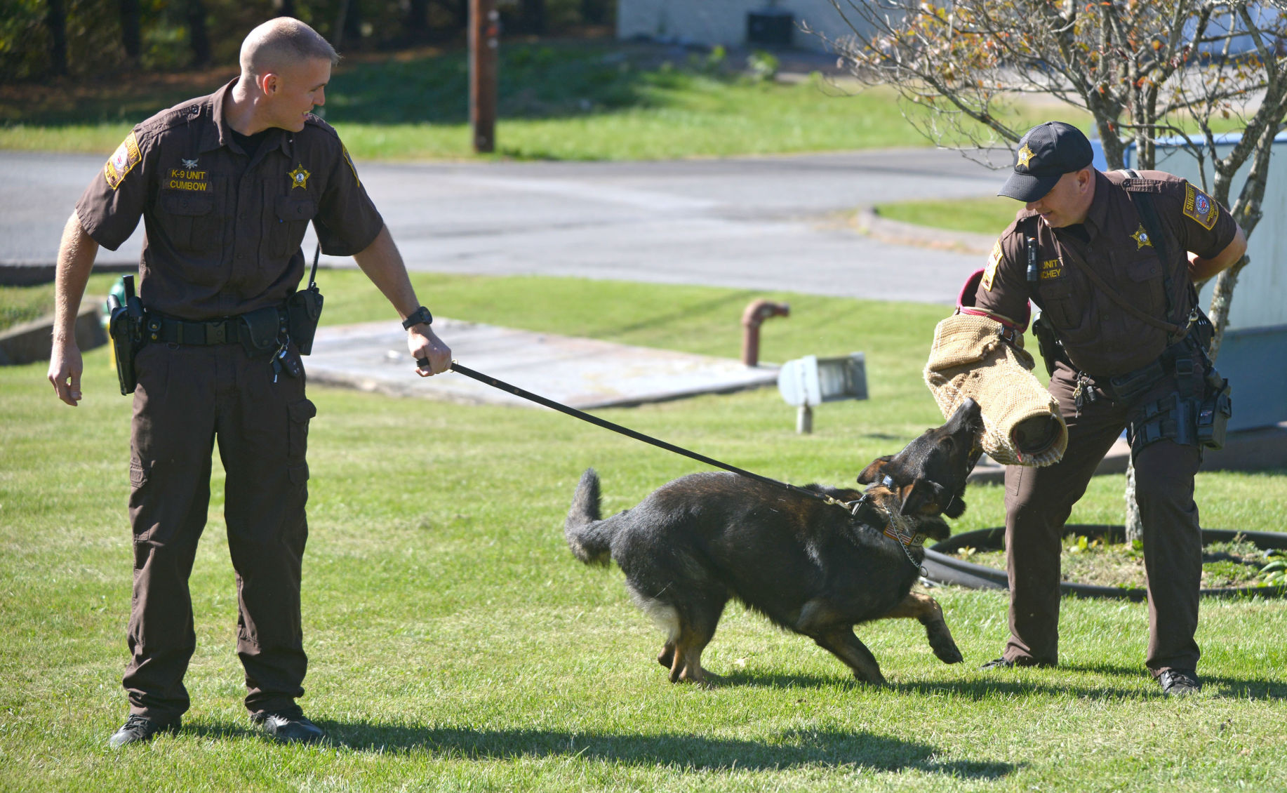 WCSO K9 05